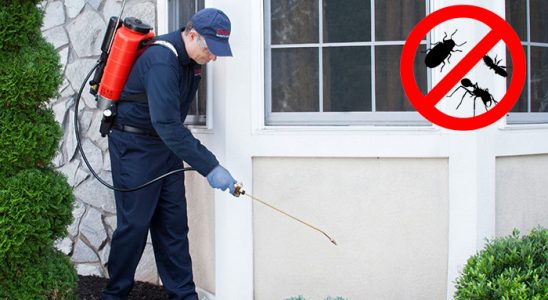 Beşiri Akrep İlaçlama böcek ilaçlama ve haşere kontrolü — ilaclama-tr.com